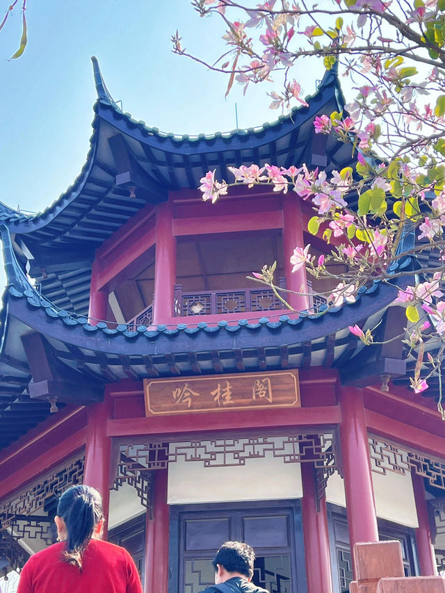 深圳玉龍公園：都市中的靜謐桃源