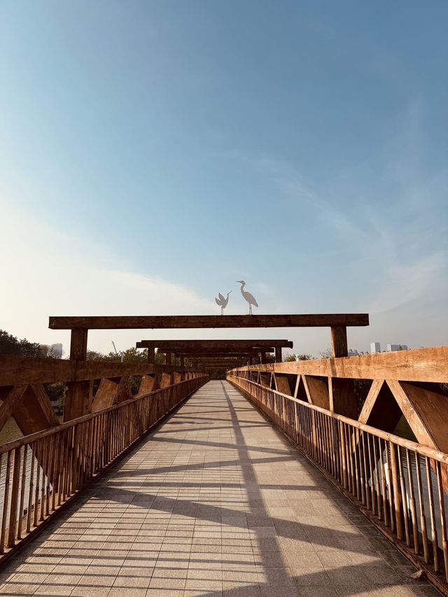 樂山3日暢遊 玩轉全景不踩坑