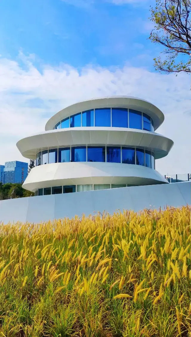 Bijiashan Sports Park, Shenzhen: A Perfect Spot for Sports and Family Fun