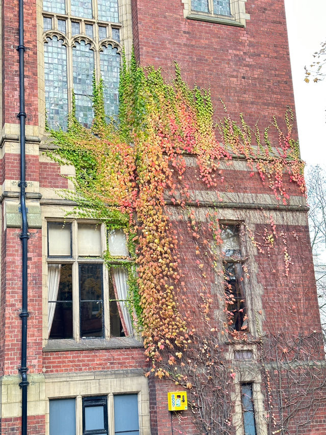 📍 英國 | 里茲（Leeds）🎓🏛️
