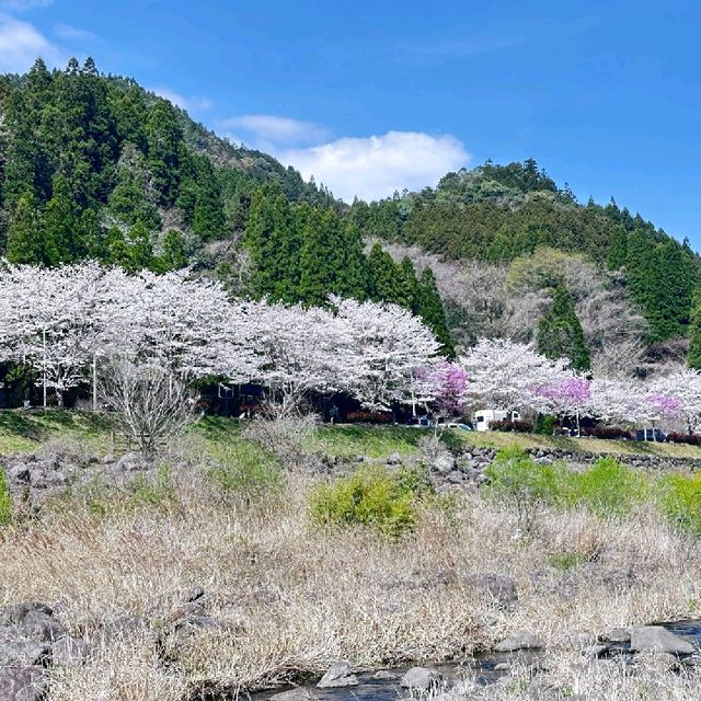 如意輪寺與別府奇景
