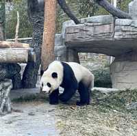 Mountain Village Stay | Sichuan