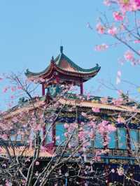 Baomo Garden in spring 