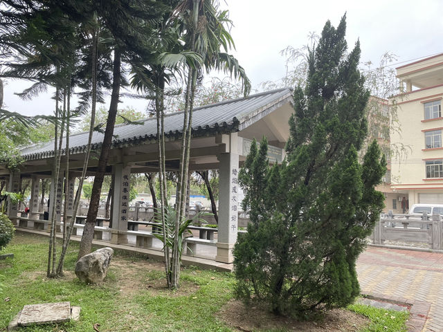 陽春名樹公園｜走進植物的日常，也走進自己心裡的小森林》