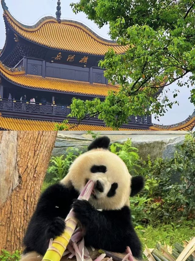 岳陽怎麼玩，請直接複製這條路線。