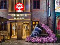 Shanghai 1 Day itinerary