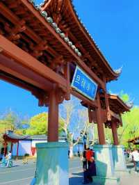 杭州春日漫遊：西湖與西溪的桃花之約