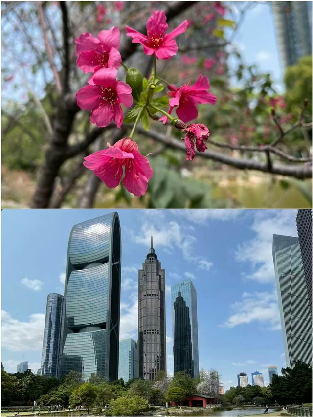 廣州遊玩已回 你不知道的N種打卡方式