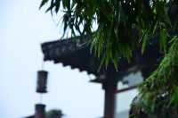 雨後運河畔，枕河居盡顯愜意慵懶