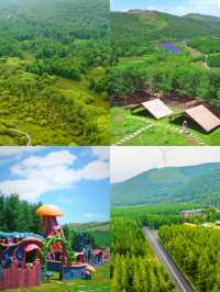 一處宛如童話世界的地方——神仙谷七彩森林