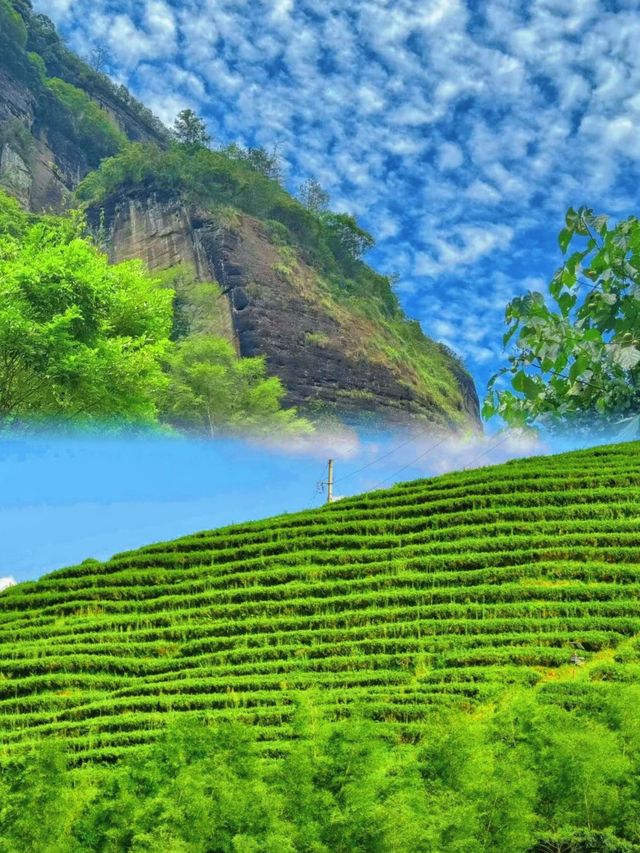 集文化與自然於一身嘅“雙世遺”名山