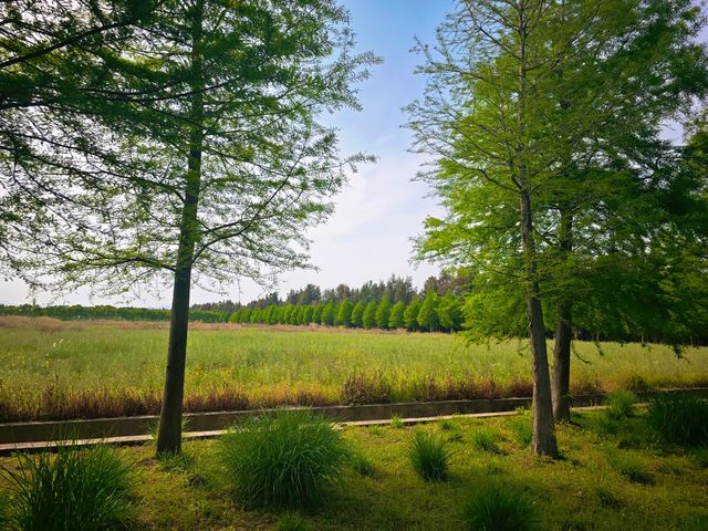 漩門灣濕地公園冇人嘅感覺實在太正啦