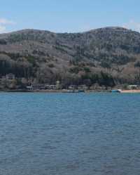富士山一日遊，東京出發，山中湖河口湖