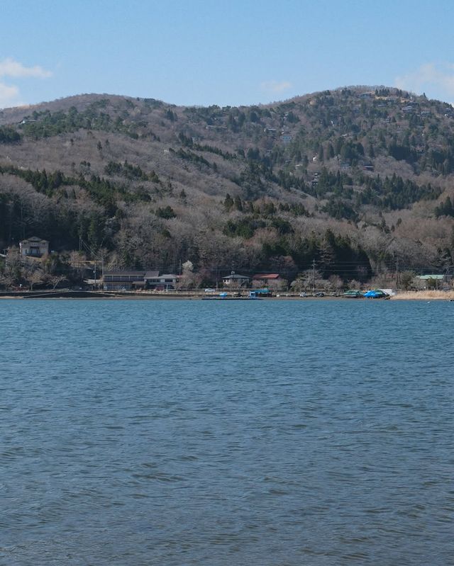 富士山一日遊，東京出發，山中湖河口湖