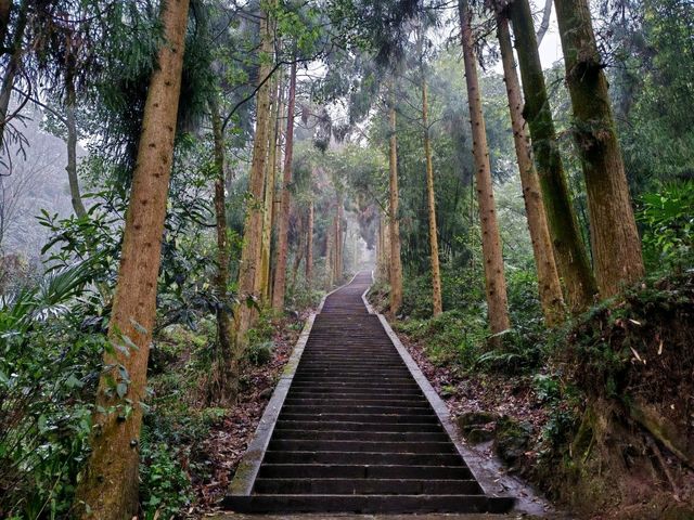 峨眉山｜雲海之上的靈性淨土