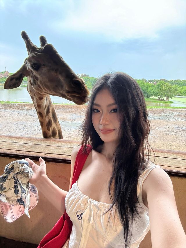 🦒Safari World｜曼谷野生動物園一日遊(ﾟoﾟ;;✨