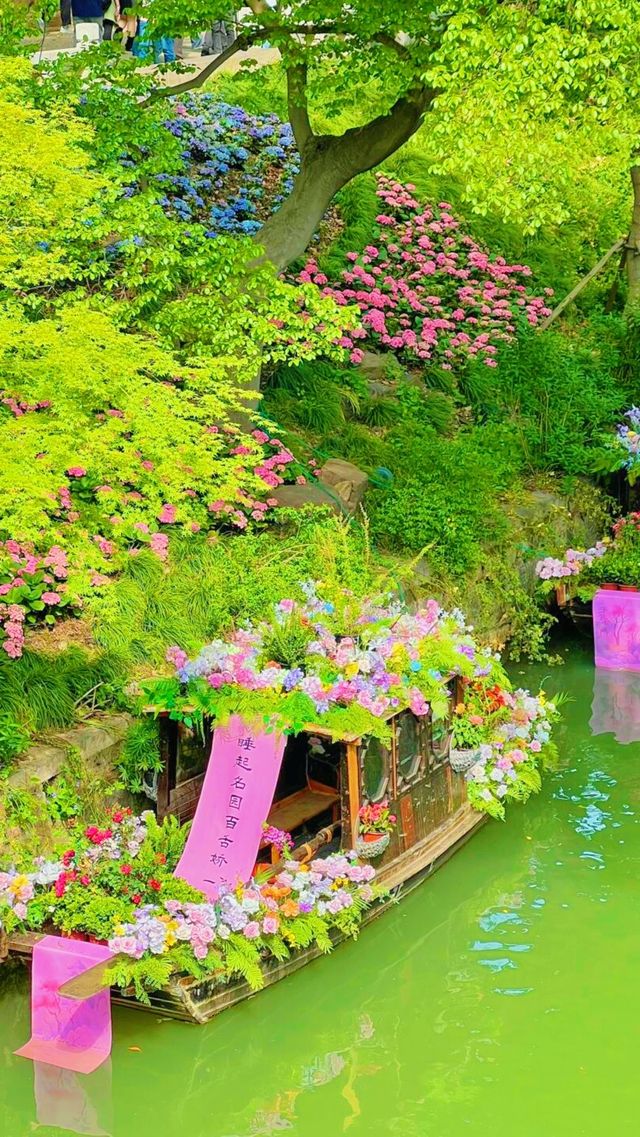 《虎丘花朝節，到底該點樣品嘗美食？》