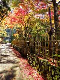 日本6日遊｜小長假超全遊玩攻略
