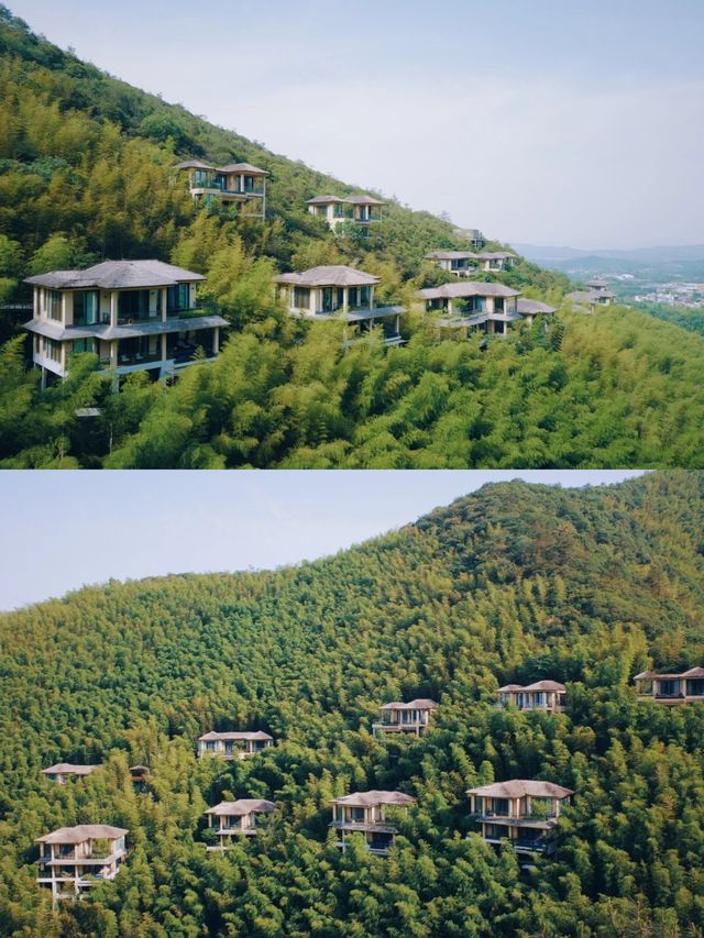 親子loft、山谷別墅、溫泉私湯、竹海湖景全都有！