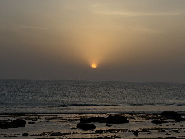 Hidden Gem of the Middle East – Oman 🇴🇲