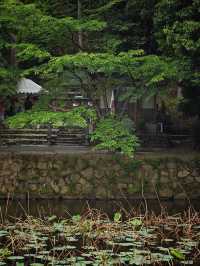 京都嵐月：住進十年前的嵐山雨夜  
早早離開大阪，昨日落雨，於是取消咗奈良之行，同第一次嚟京都一樣，