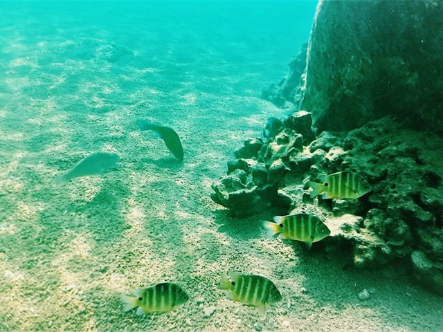 Ao Leuk Bay: Koh Tao's Enchanting Turquoise Sanctuary