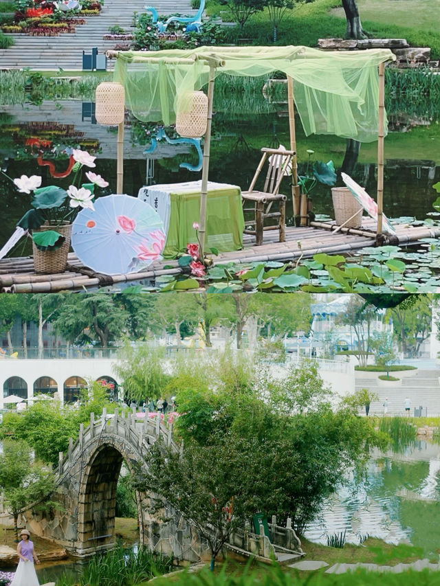 《「荷你有約」：宜昌兒童公園荷花節浪漫來襲》