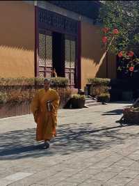 寧波小眾寺廟，拍照超靚超出片