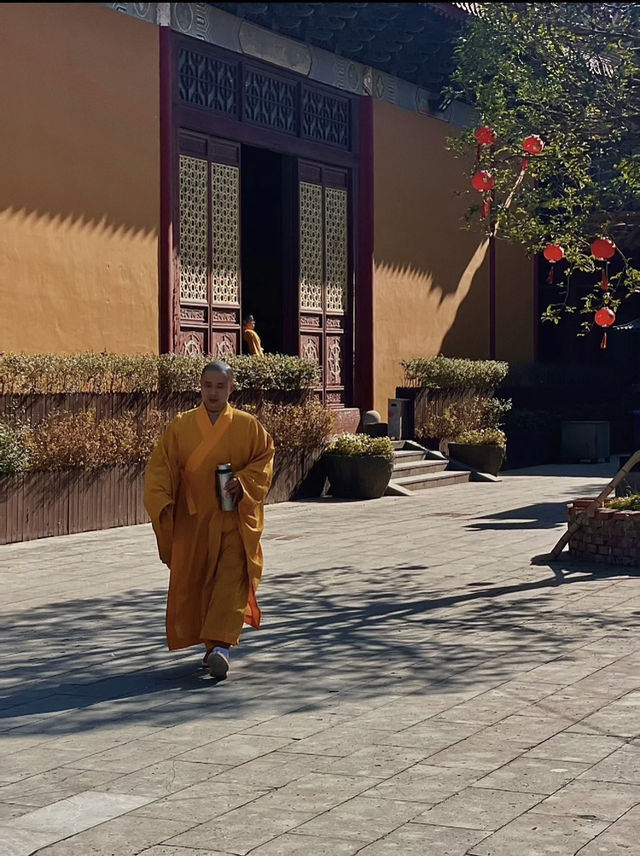 寧波小眾寺廟，拍照超靚超出片