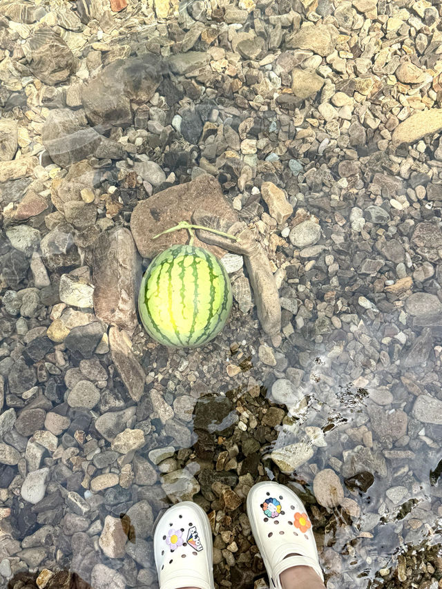 江浙滬淡竹玻璃水夏日玩水寶藏地！