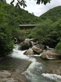 闖進現實版的綠野仙蹤，被20℃的夏天治癒了。