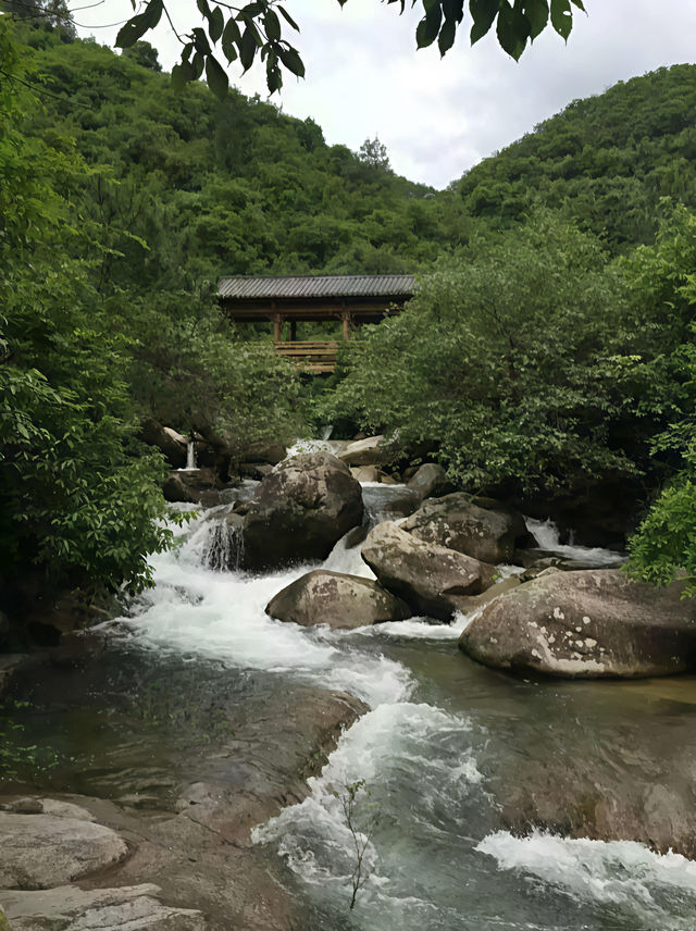 闖進現實版的綠野仙蹤，被20℃的夏天治癒了。