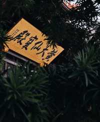 求籤問卜、心想事成！探秘金華黃大仙宮靈驗之旅