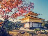 京都絕美地標！大阪到金閣寺一日遊親身體驗】**    