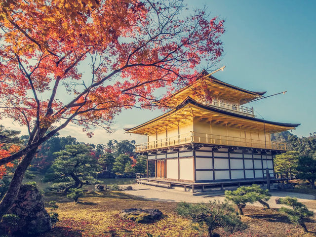 京都絕美地標！大阪到金閣寺一日遊親身體驗】**    