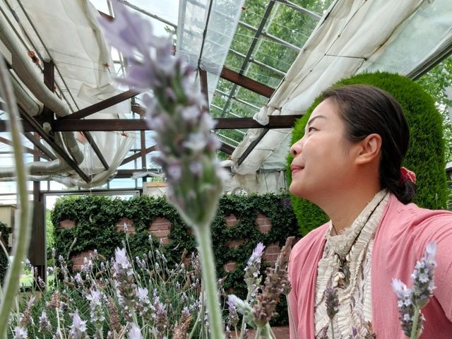 薰香滿滿富田農場