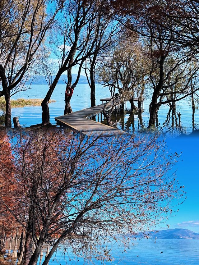 原來浪漫真係唔使錢