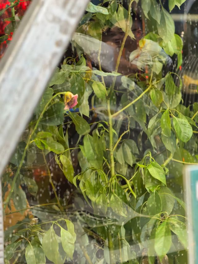 目前食過最正嘅寶藏火鍋店