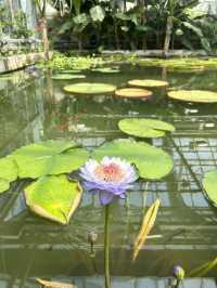 China National Botanical Gardens in Beijing!