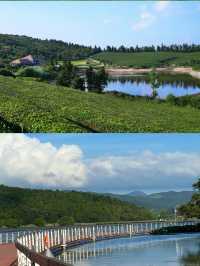 寧波東錢湖夏日攻略｜解鎖正確打開方式