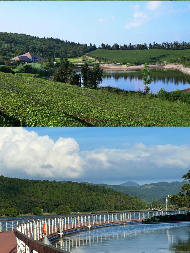 寧波東錢湖夏日攻略｜解鎖正確打開方式
