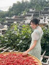 煙雨婺源美如畫