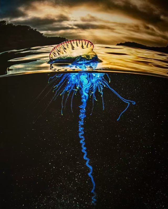昆明新展！！BBC EARTH展覽超震撼！