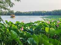心歸荷處-頤和園西堤