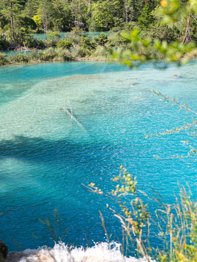 🔥Who hasn't visited 25°C Jiuzhaigou in the middle of summer yet~