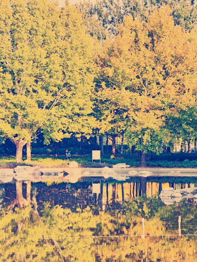 城市綠洲探秘】北京北小河公園：鬧市中的悠然秘境**  