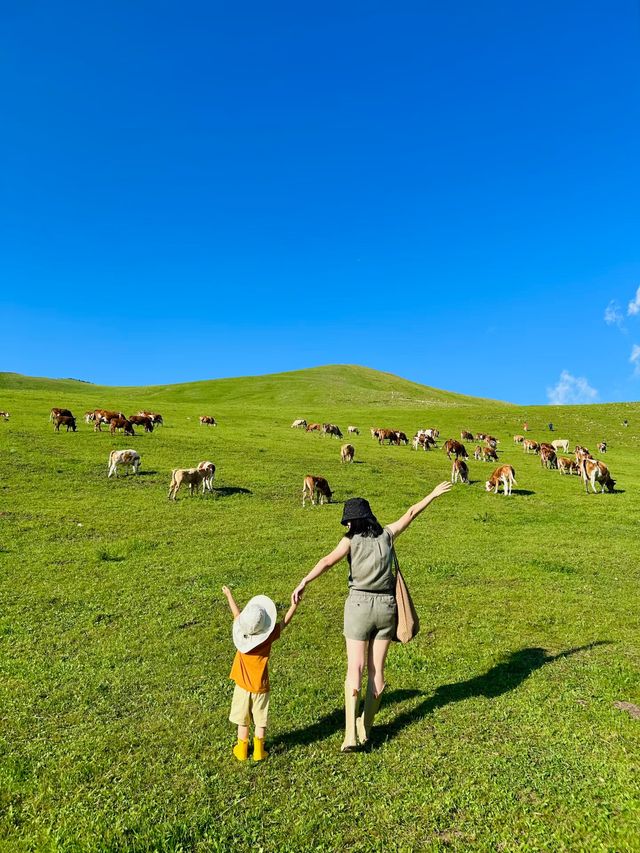 北京熱到溶化？不如帶小朋友去壩上避暑！