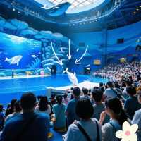 珠海必打卡海洋王國