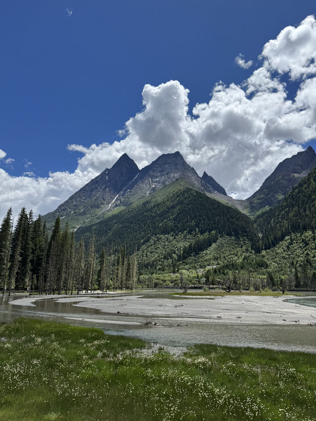 West Sichuan - Tibetan Grasslands 