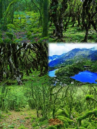 Я редко описываю место с точки зрения шока, пока...